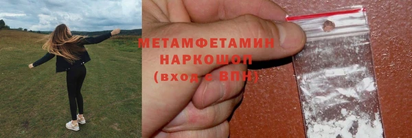 молекула духа Богданович