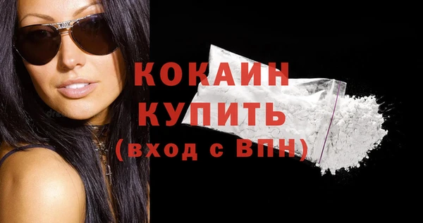 молекула духа Богданович