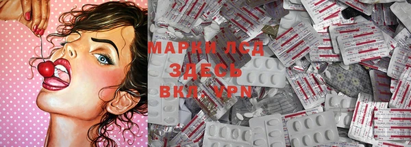 mdpv Богородицк
