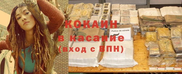 молекула духа Богданович