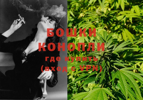 молекула духа Богданович