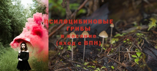МДПВ Белокуриха