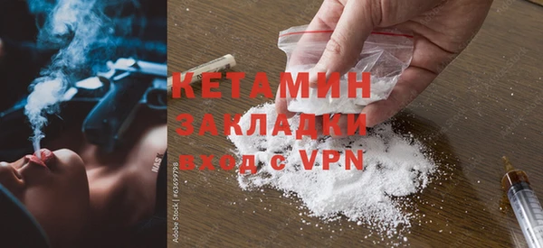 молекула духа Богданович