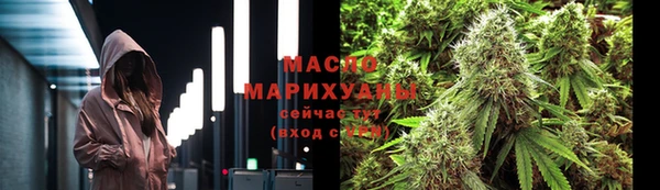 молекула духа Богданович