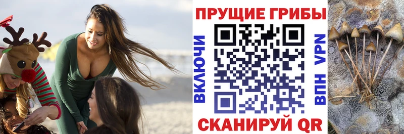 Галлюциногенные грибы мицелий Нелидово